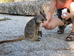 CairnsTC131 Granite Gorge